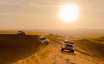 sunrise desert safari